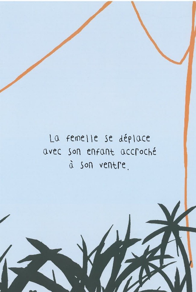 LE GORILLE