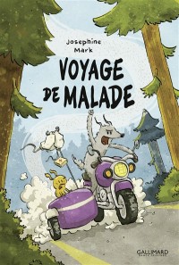 Voir les images
