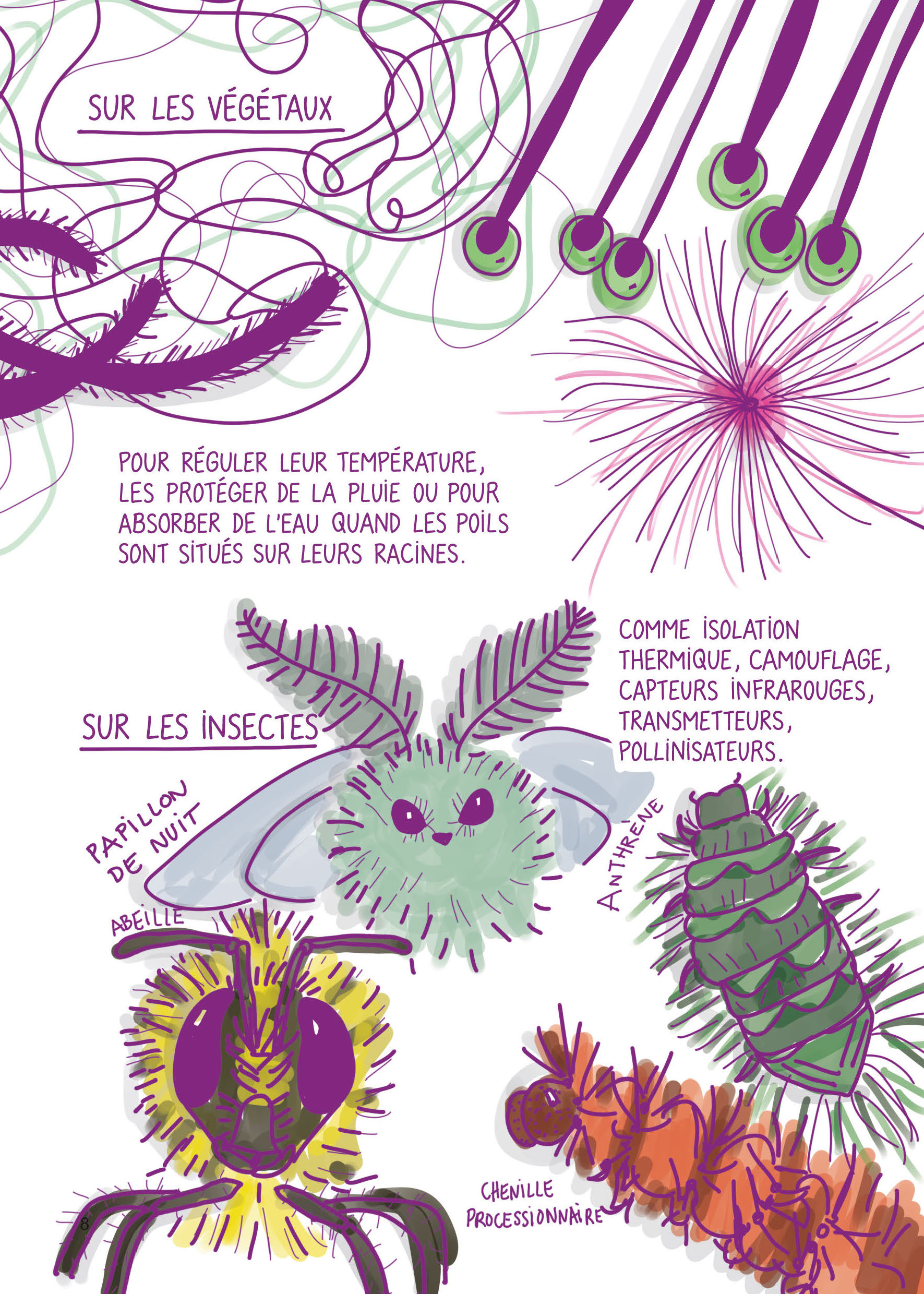 NOS POILS : MON ANNEE D NOS POILS : MON ANNEE D