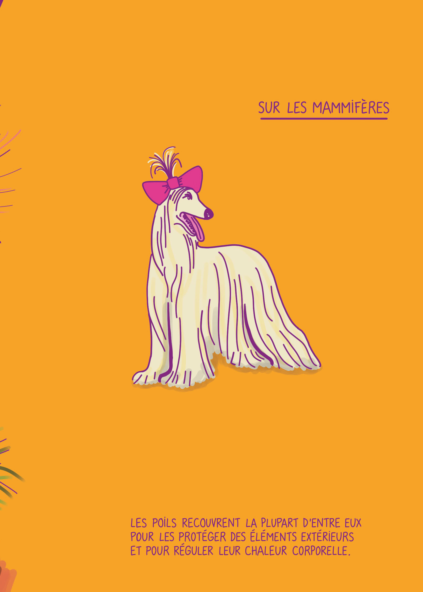 NOS POILS : MON ANNEE D