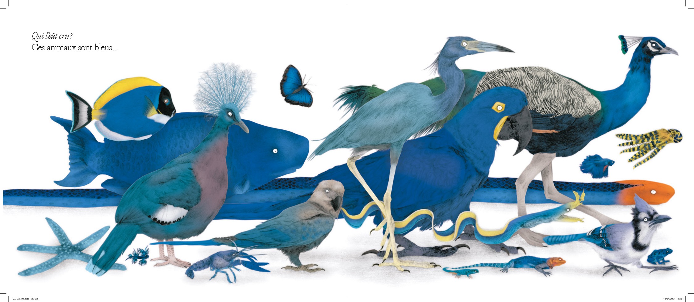 LE GRAND DEFILE DES ANIMAUX LE GRAND DEFILE DES ANIMAUX