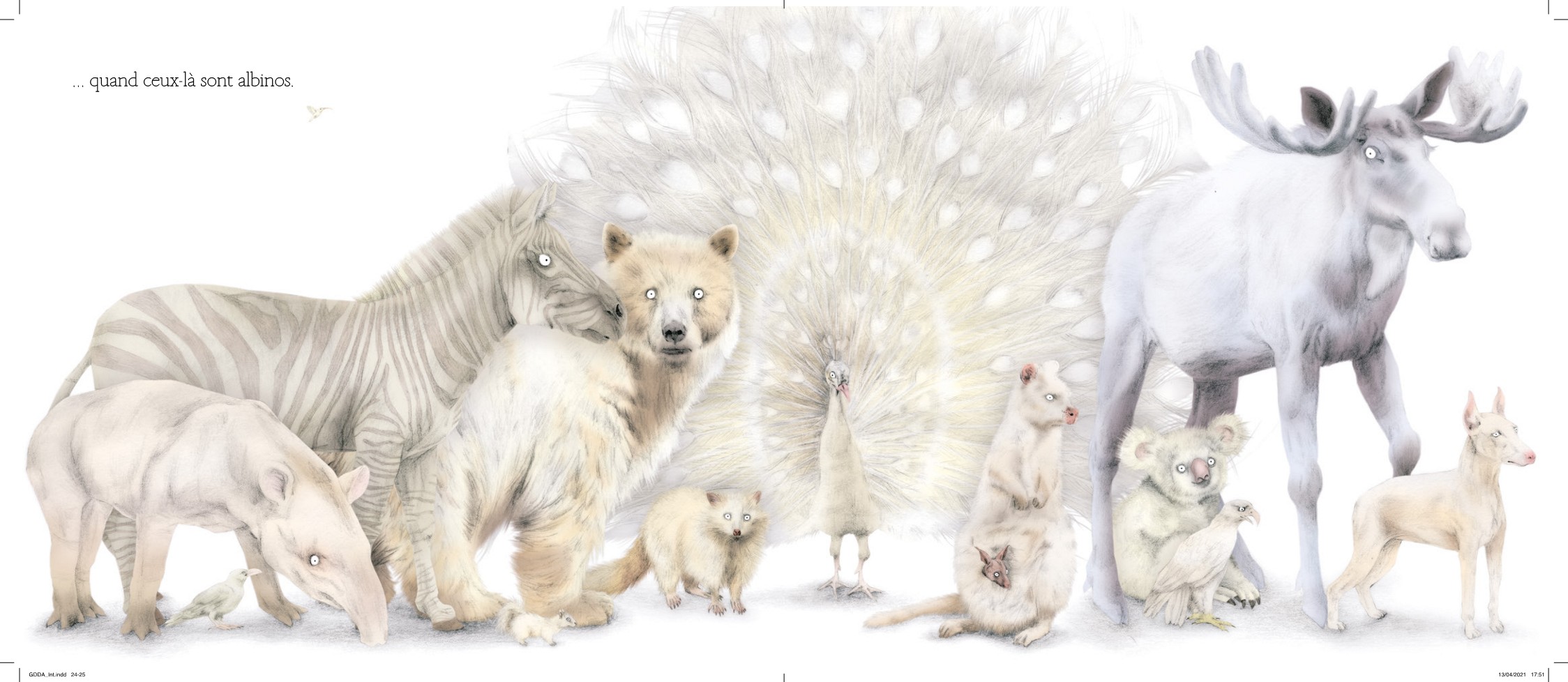 LE GRAND DEFILE DES ANIMAUX LE GRAND DEFILE DES ANIMAUX