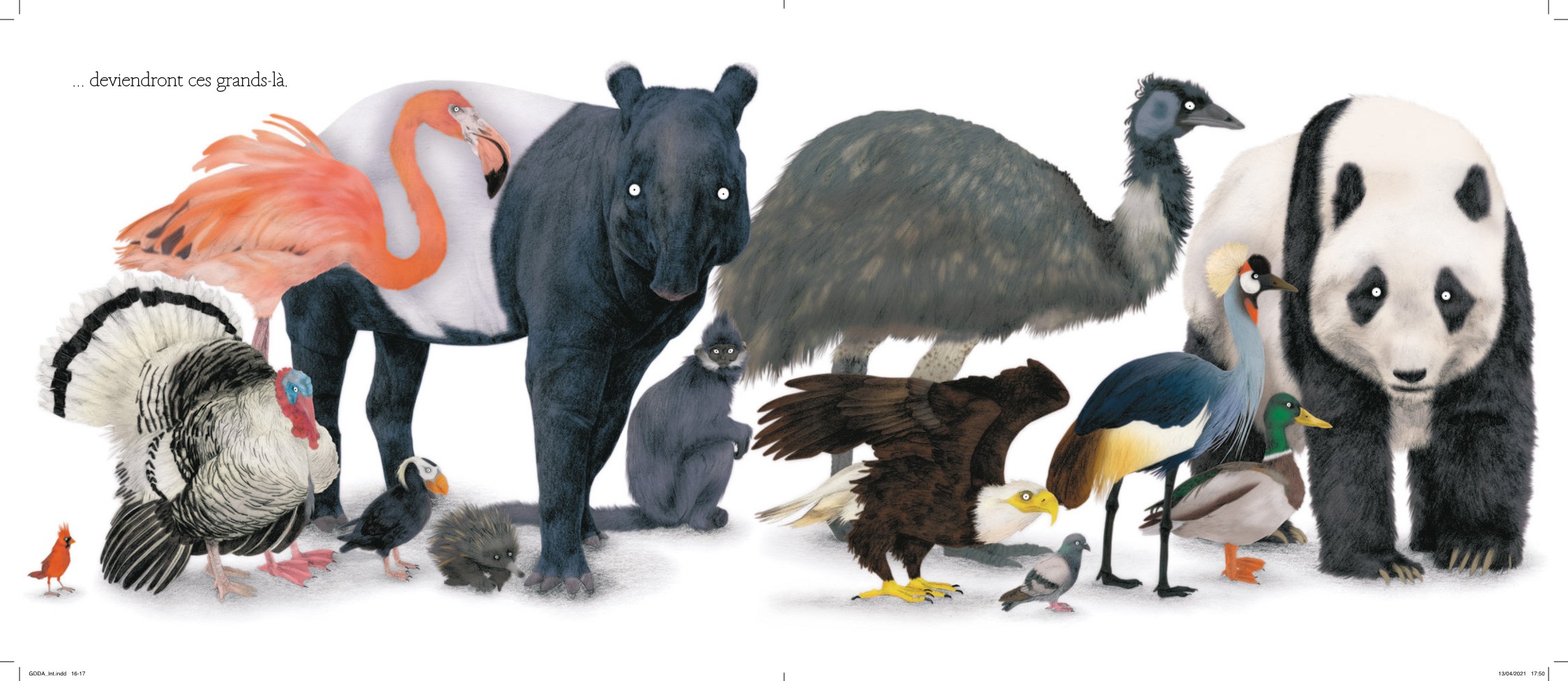 LE GRAND DEFILE DES ANIMAUX LE GRAND DEFILE DES ANIMAUX