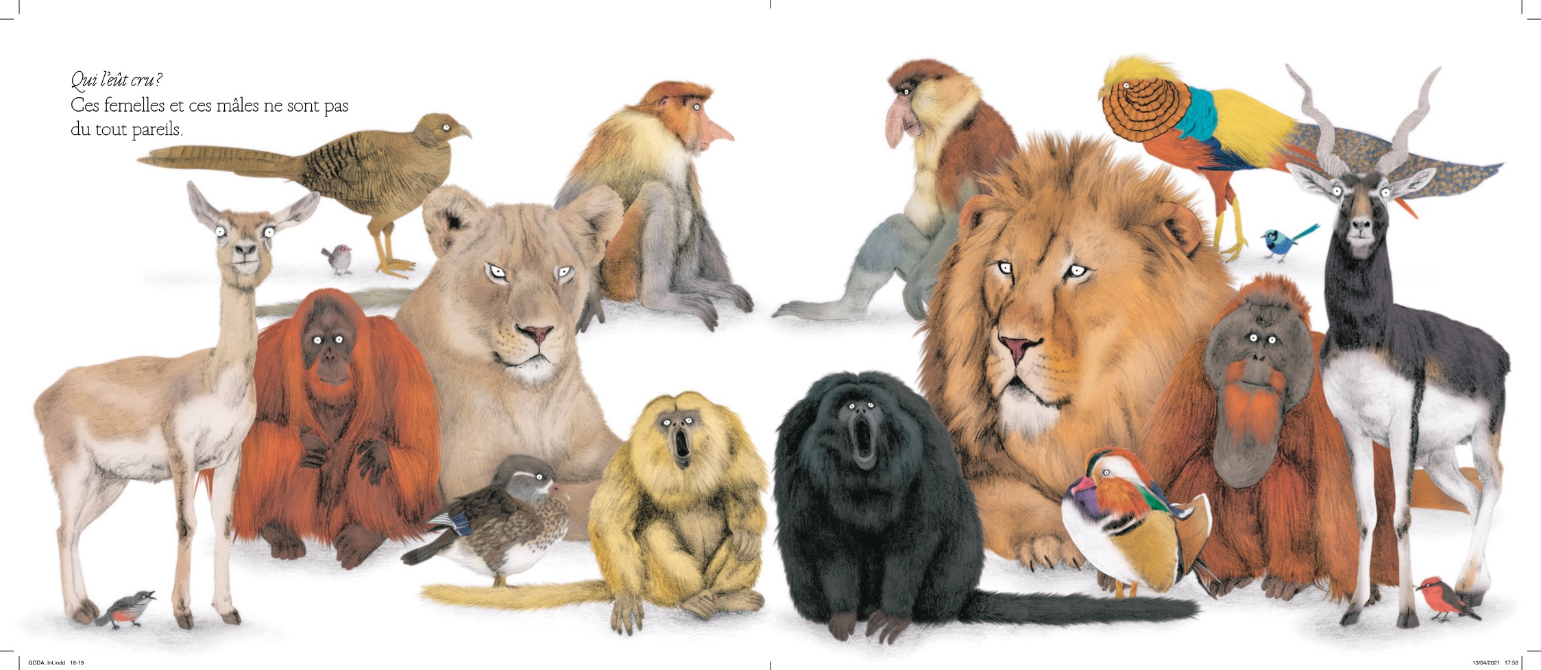LE GRAND DEFILE DES ANIMAUX LE GRAND DEFILE DES ANIMAUX