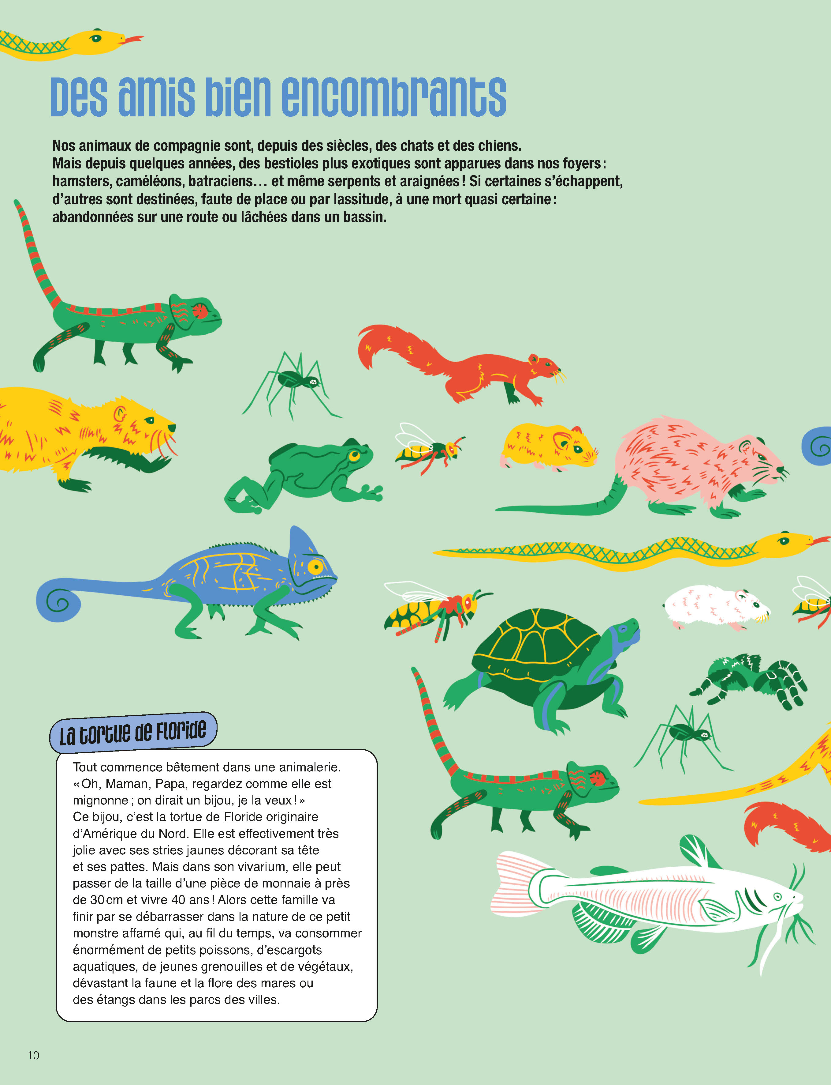 LES ANIMAUX ET NOUS : COMMENT VIVRE ENSEMBLE EN VILLE ?