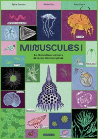 Voir les images