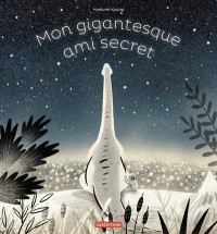 Voir les images