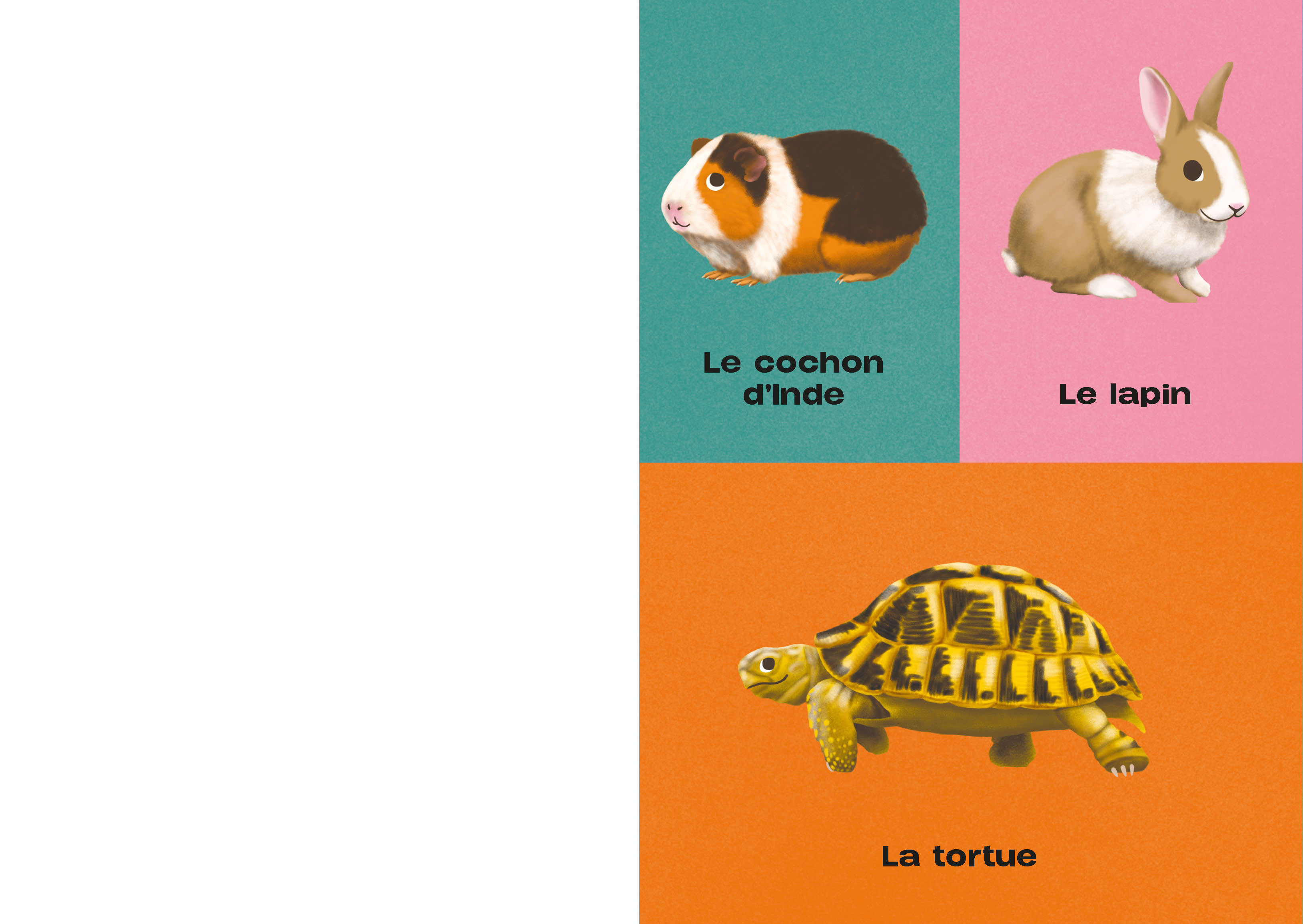 MON IMAGIER A JOUER - LES ANIMAUX