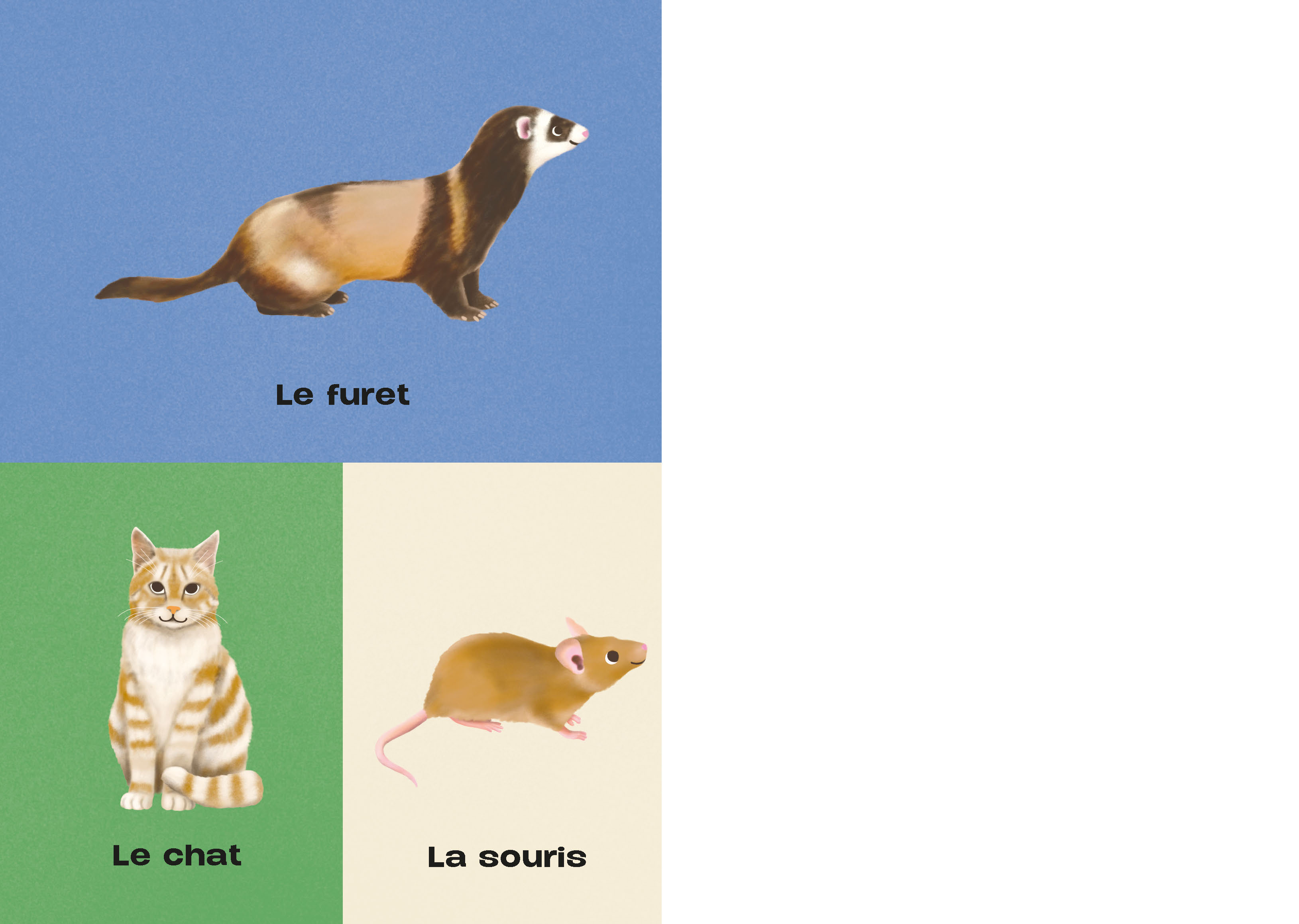 MON IMAGIER A JOUER - LES ANIMAUX
