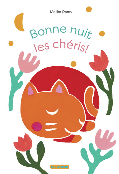 BONNE NUIT LES CHERIS !