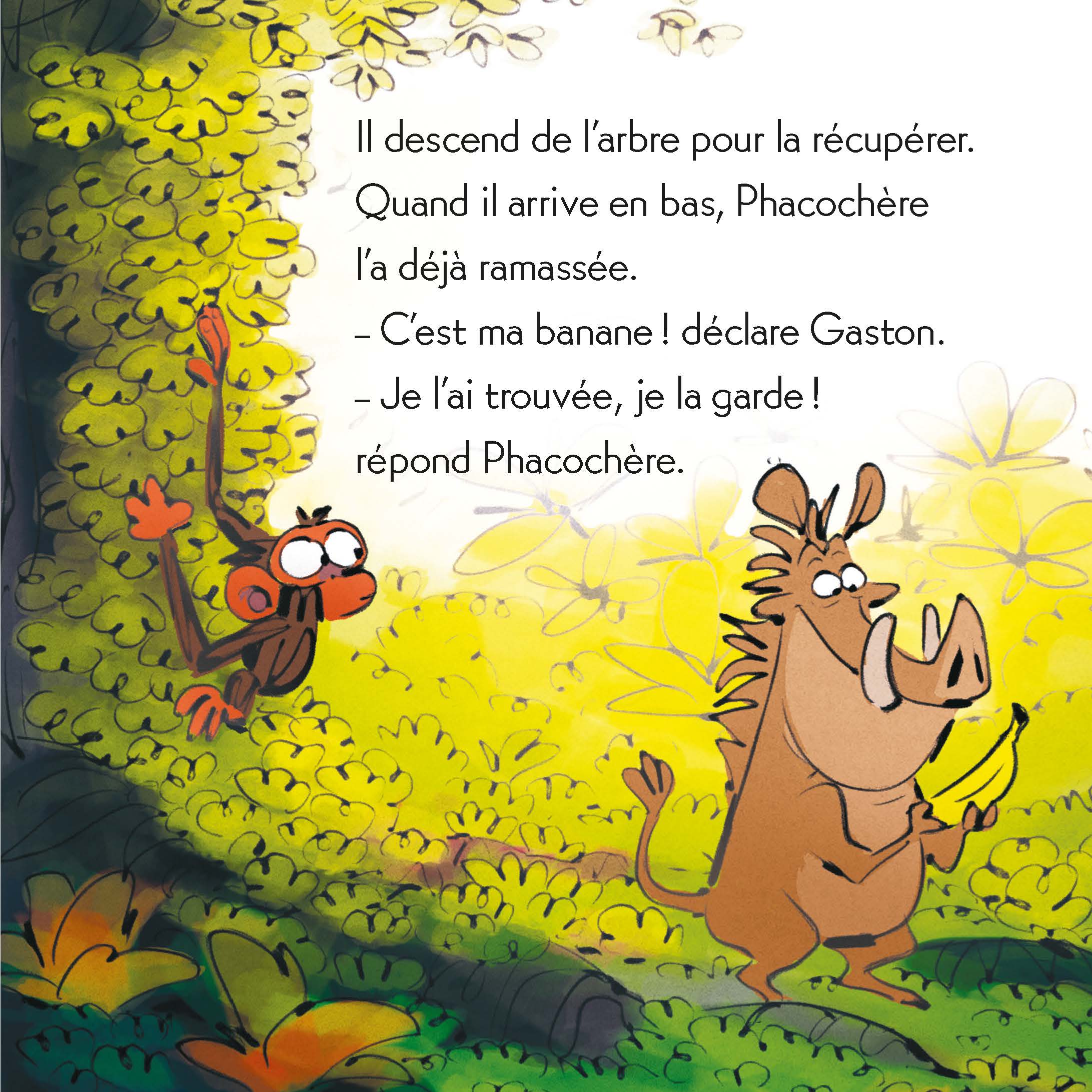 GASTON GROGNON  - C