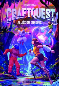 Voir les images