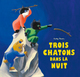Trois chatons dans la nuit Trois chatons dans la nuit