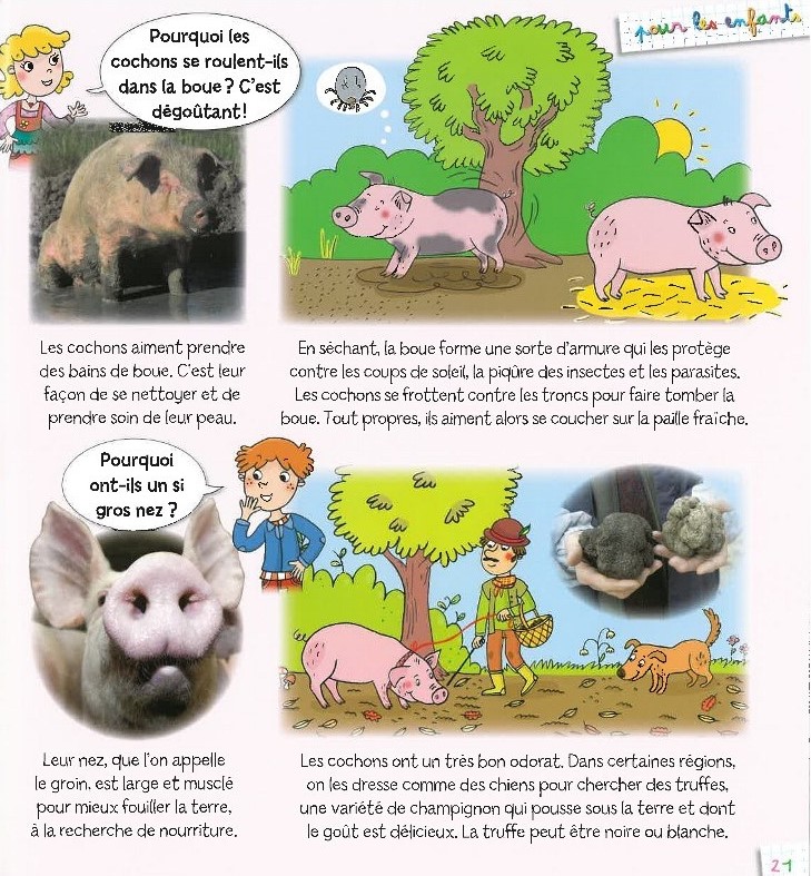LA FERME