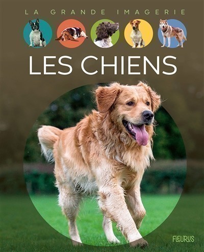 LES CHIENS LES CHIENS