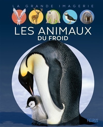 LES ANIMAUX DU FROID LES ANIMAUX DU FROID