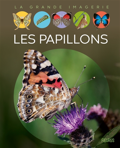 LES PAPILLONS LES PAPILLONS