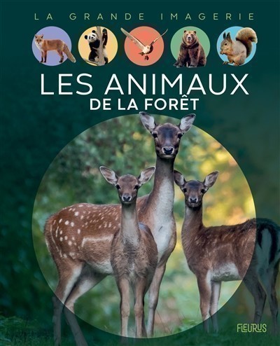 LES ANIMAUX DE LA FORET LES ANIMAUX DE LA FORET
