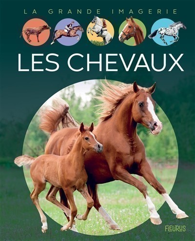 LES CHEVAUX LES CHEVAUX