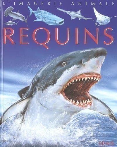 LES REQUINS LES REQUINS