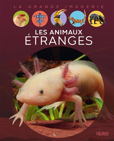 LES ANIMAUX ETRANGES LES ANIMAUX ETRANGES