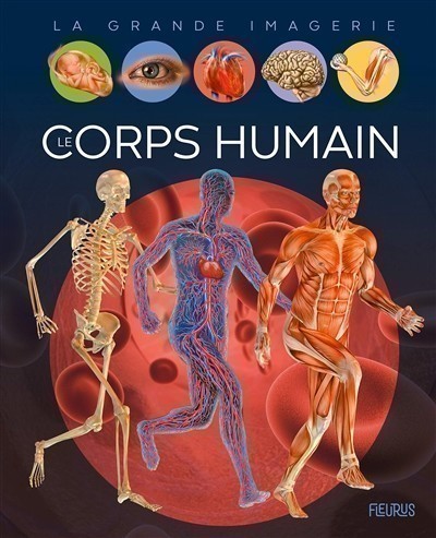LE CORPS HUMAIN LE CORPS HUMAIN