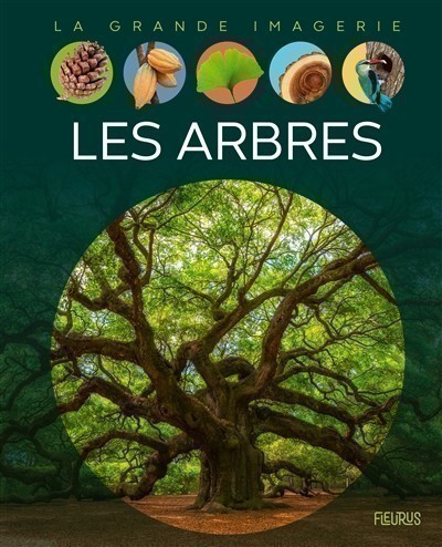 LES ARBRES LES ARBRES