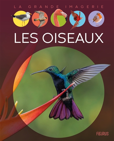 LES OISEAUX