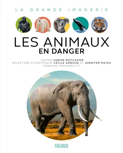 LES ANIMAUX EN DANGER LES ANIMAUX EN DANGER
