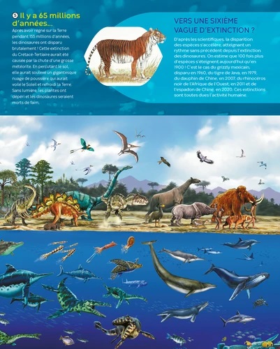 LES ANIMAUX EN DANGER LES ANIMAUX EN DANGER