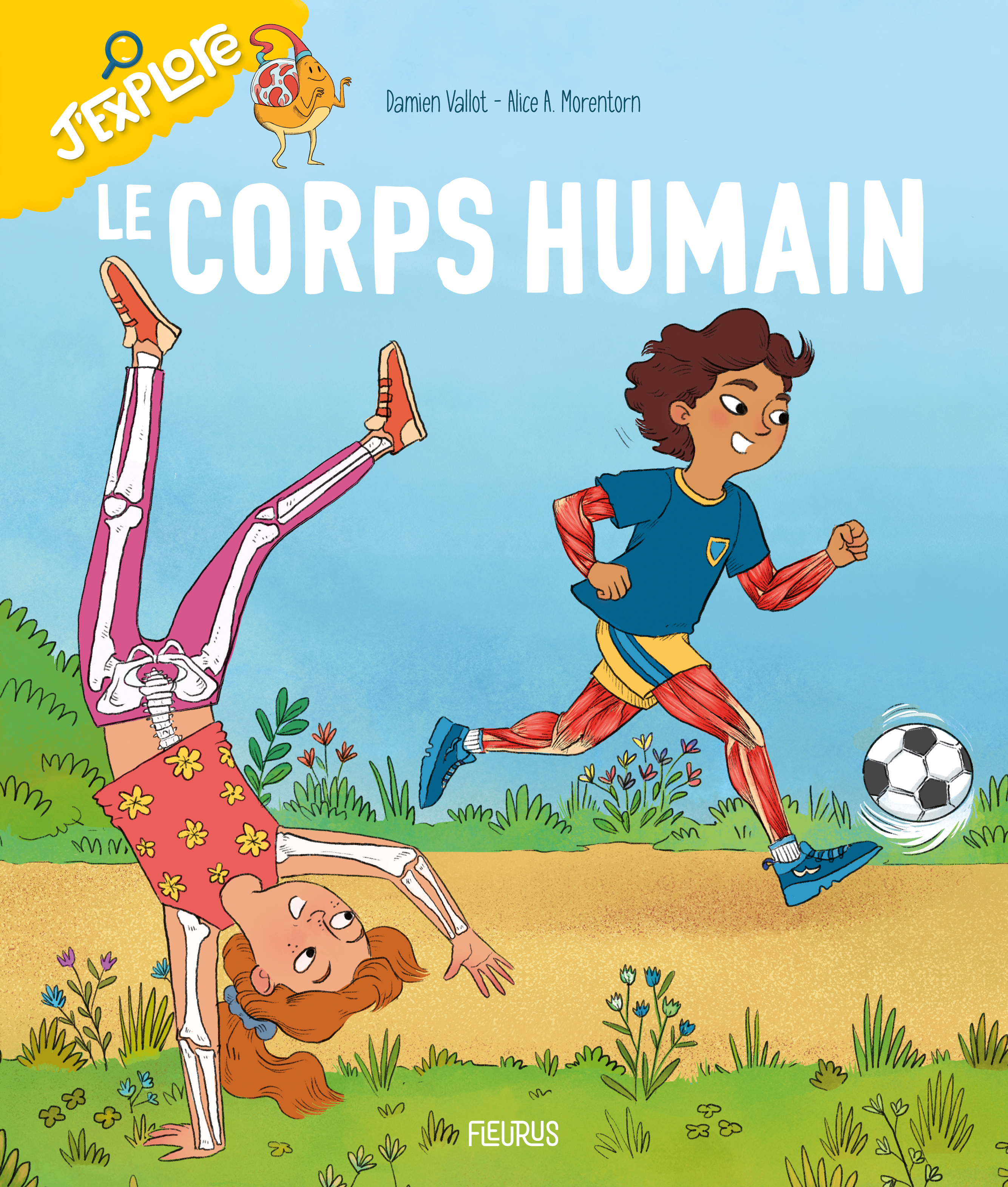 LE CORPS HUMAIN