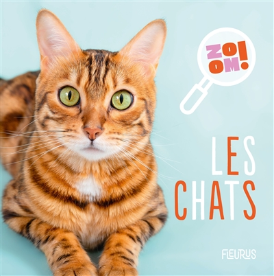 LES CHATS