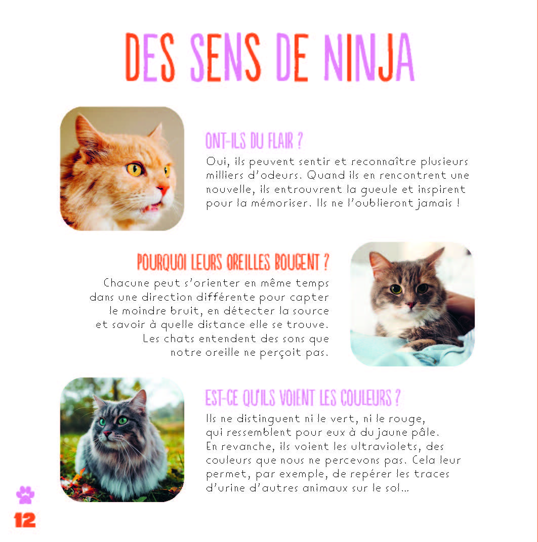 LES CHATS