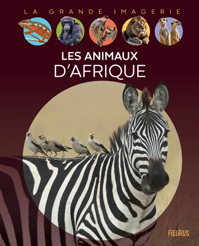 LES ANIMAUX D LES ANIMAUX D