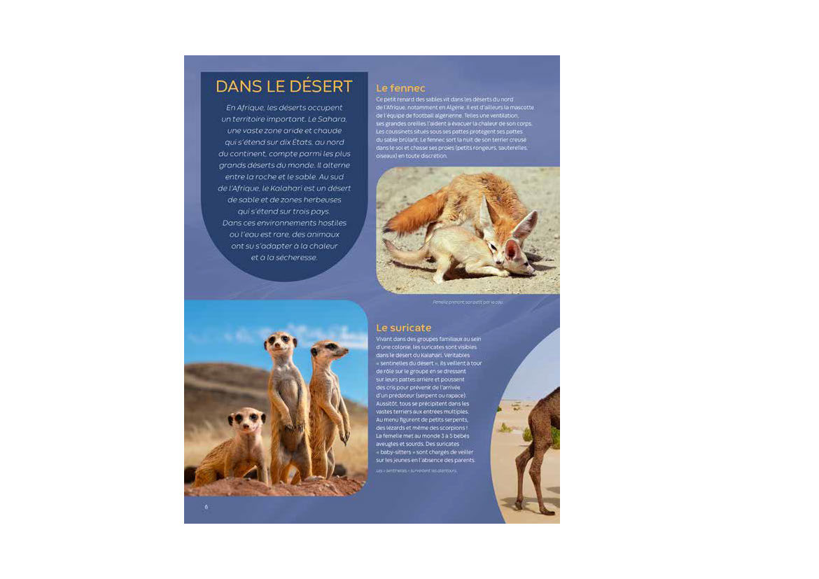 LES ANIMAUX D LES ANIMAUX D