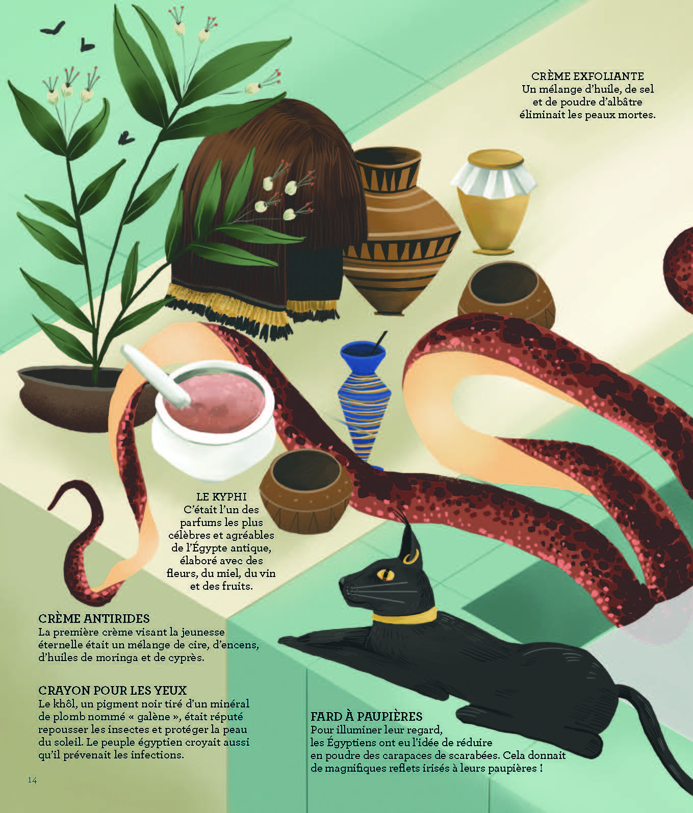 BEAUTES : HISTOIRE DE LA DIVERSITE