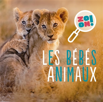 LES BEBES ANIMAUX