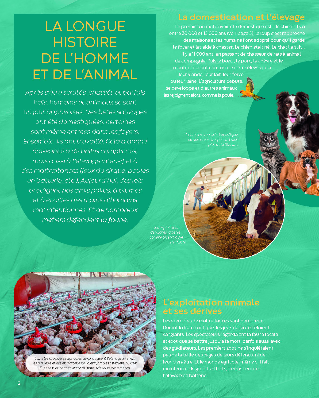 TRAVAILLER AVEC LES ANIMAUX TRAVAILLER AVEC LES ANIMAUX