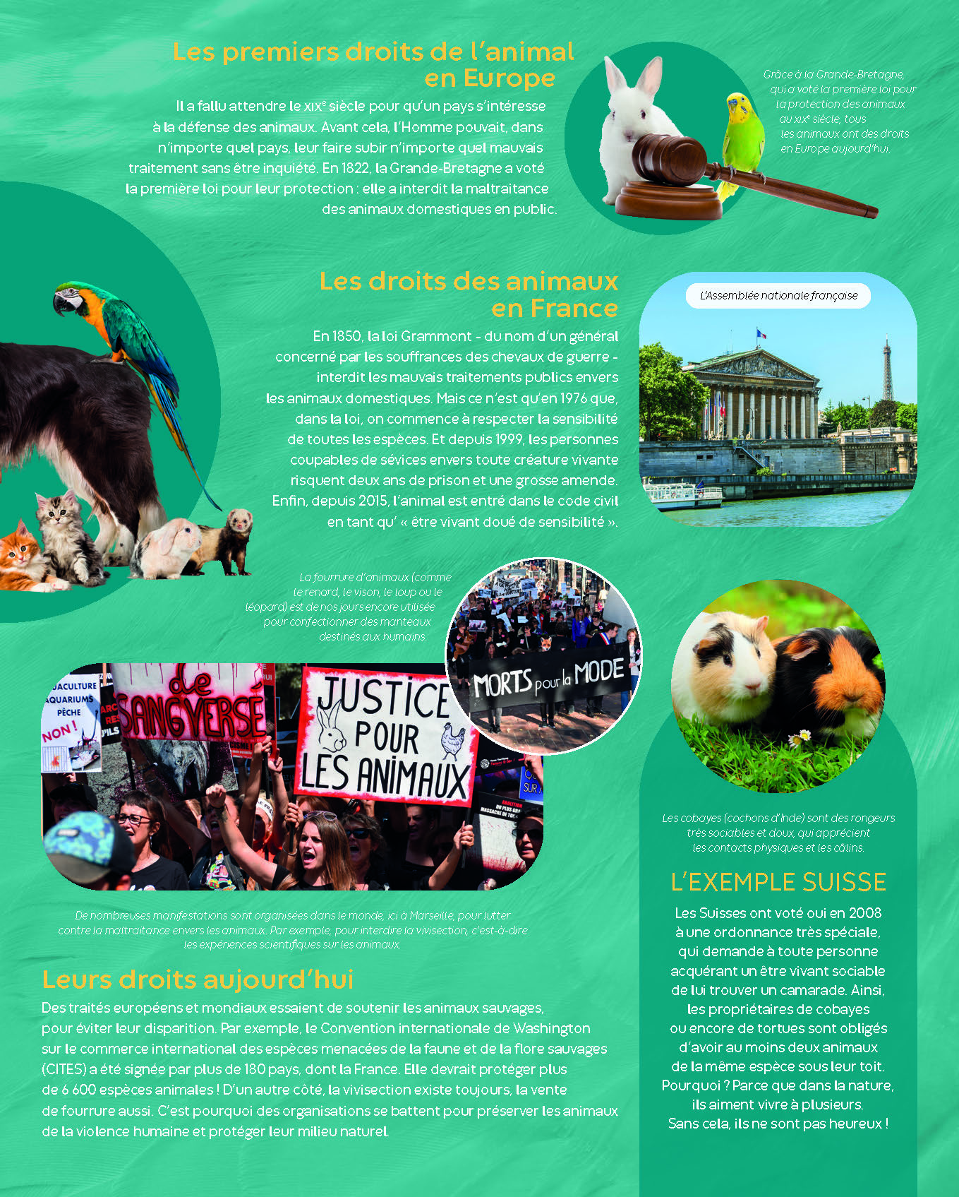 TRAVAILLER AVEC LES ANIMAUX