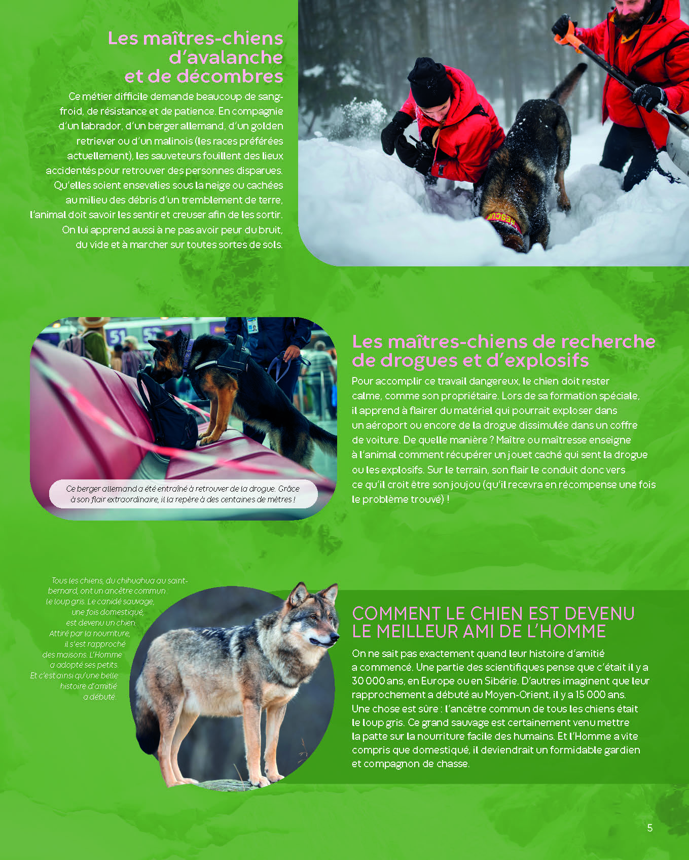 TRAVAILLER AVEC LES ANIMAUX