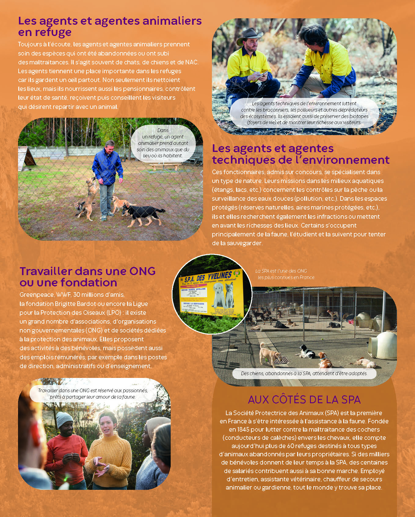 TRAVAILLER AVEC LES ANIMAUX