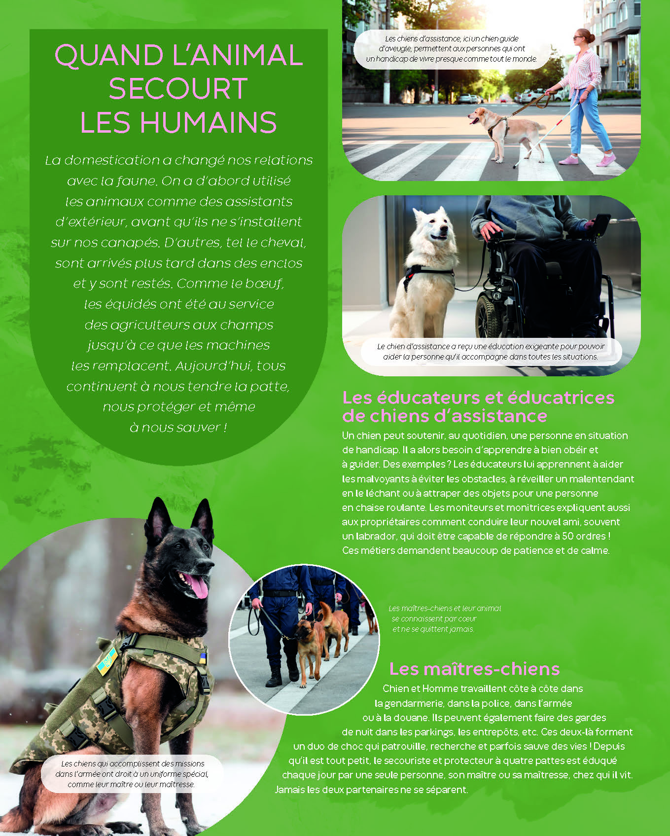 TRAVAILLER AVEC LES ANIMAUX TRAVAILLER AVEC LES ANIMAUX