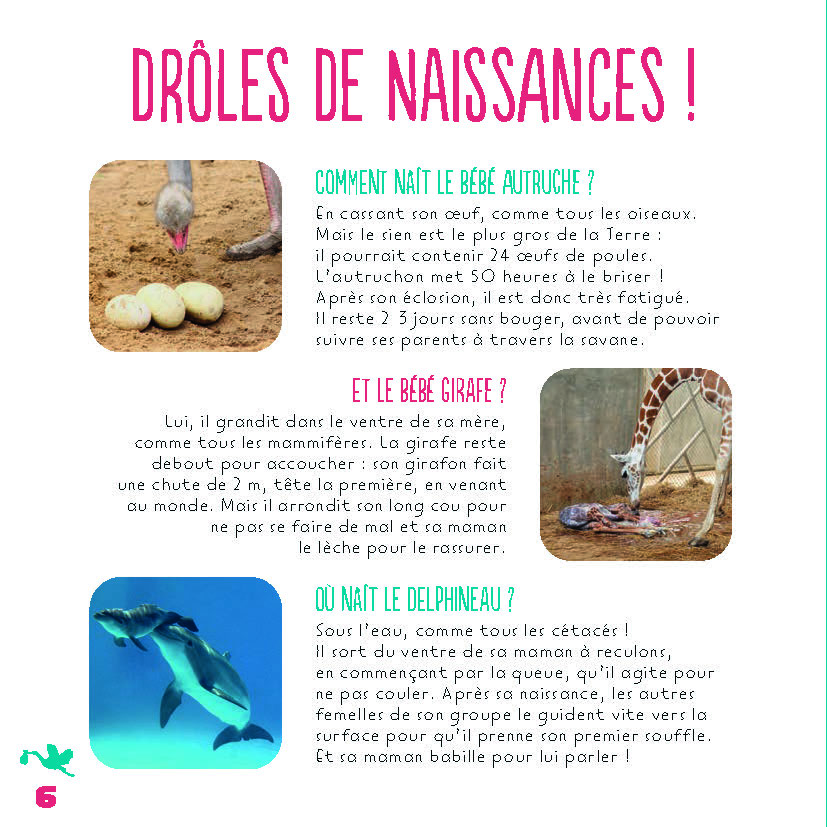 MON ENCYCLO EN PHOTOS - ANIMAUX