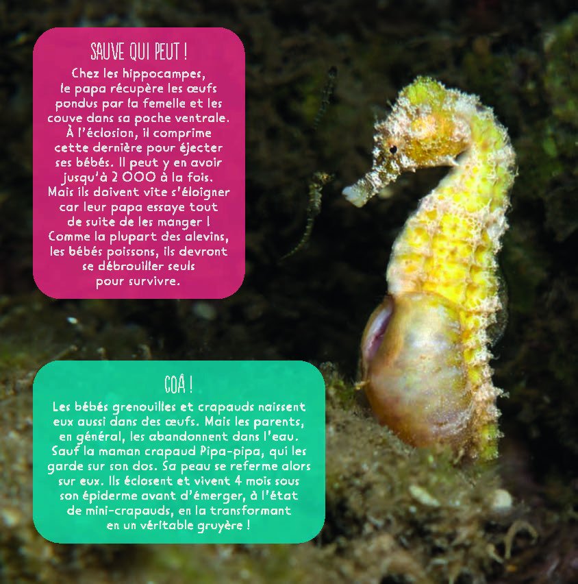 MON ENCYCLO EN PHOTOS - ANIMAUX