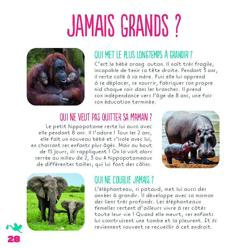 MON ENCYCLO EN PHOTOS - ANIMAUX