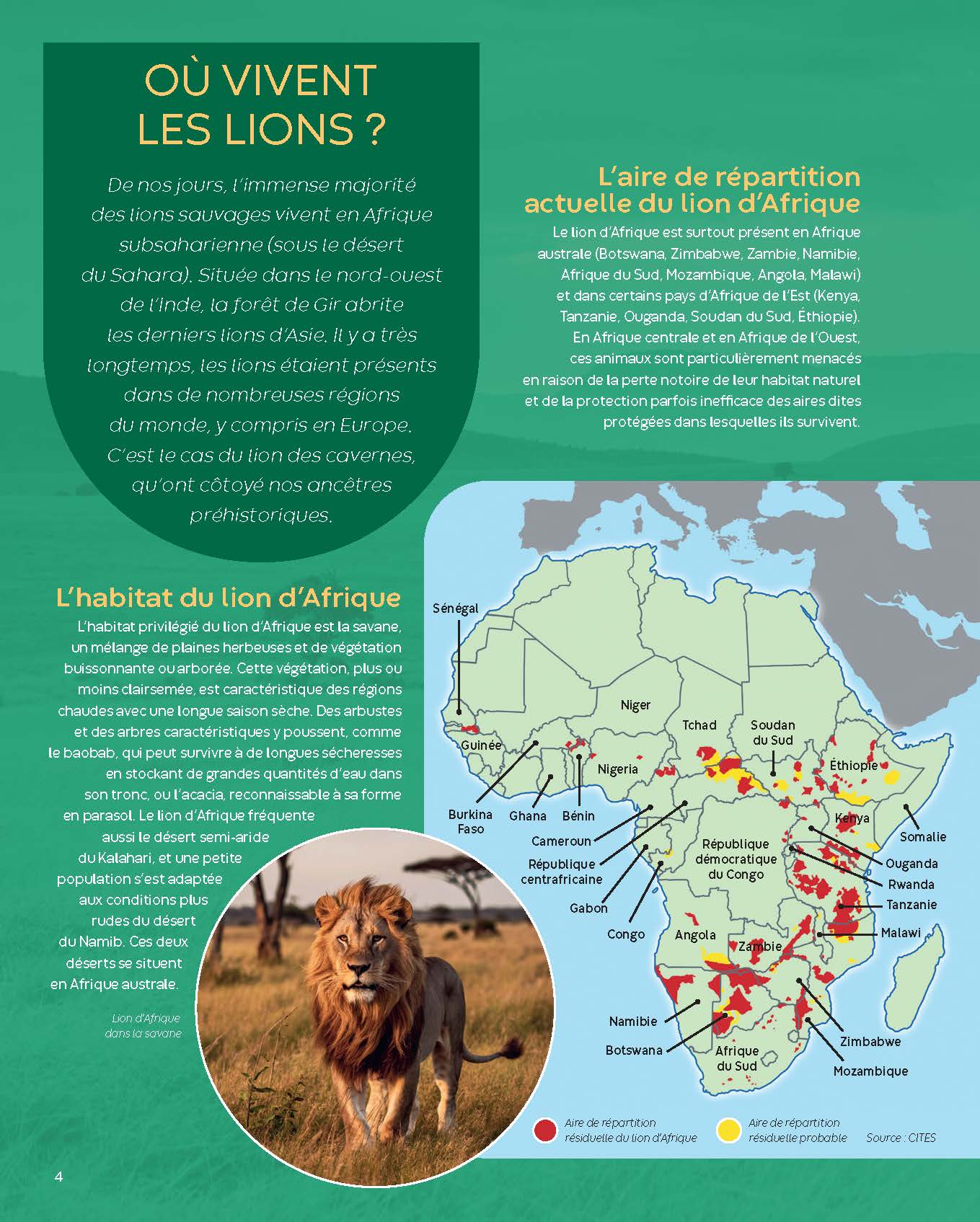 LES LIONS