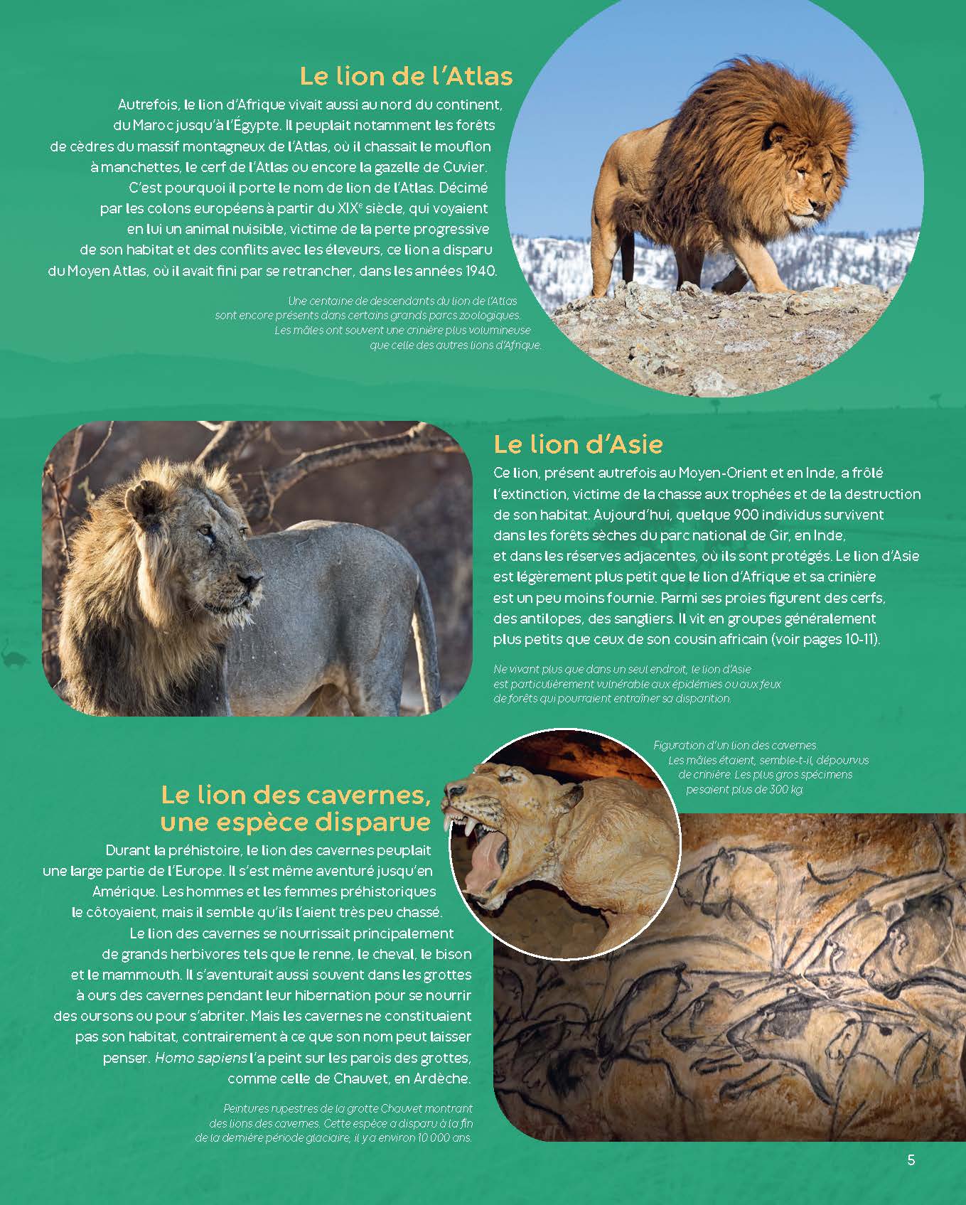 LES LIONS