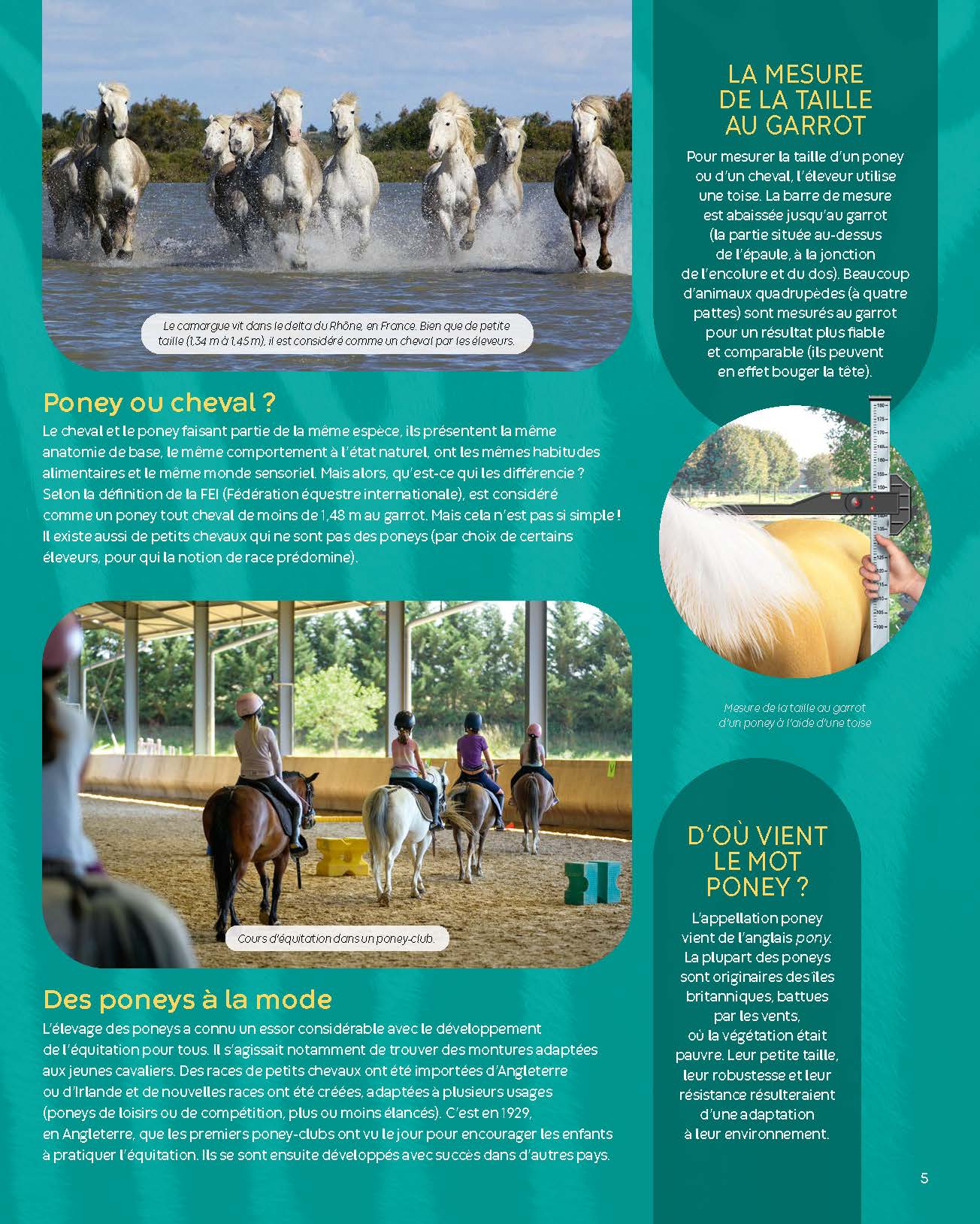 LES PONEYS