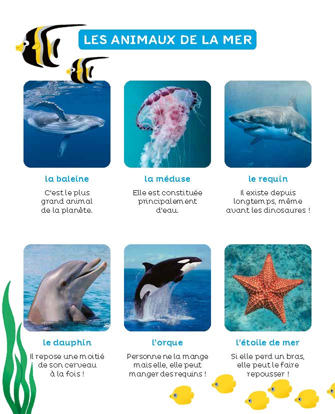 LES ANIMAUX