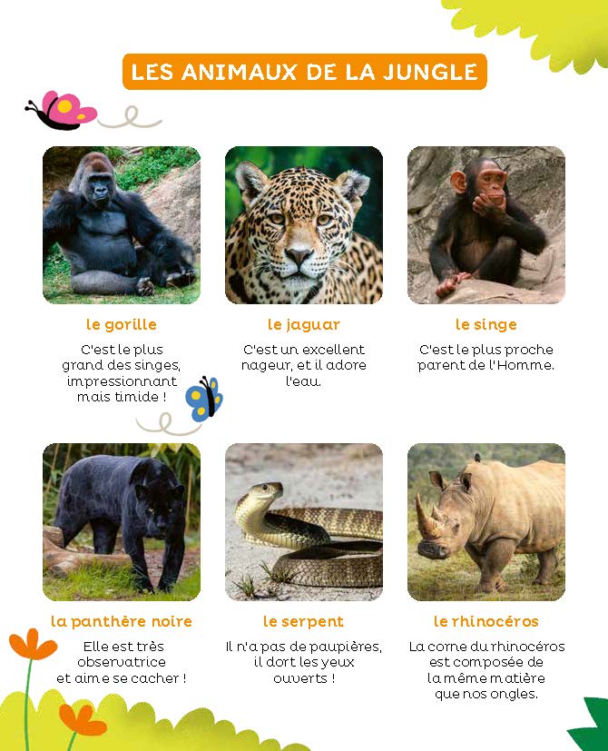 LES ANIMAUX